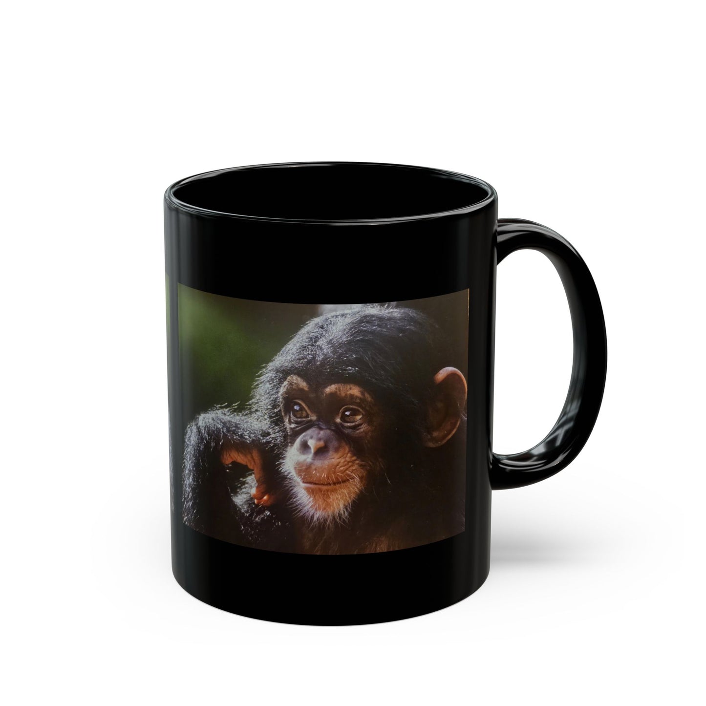 Adorable Baby Chimp