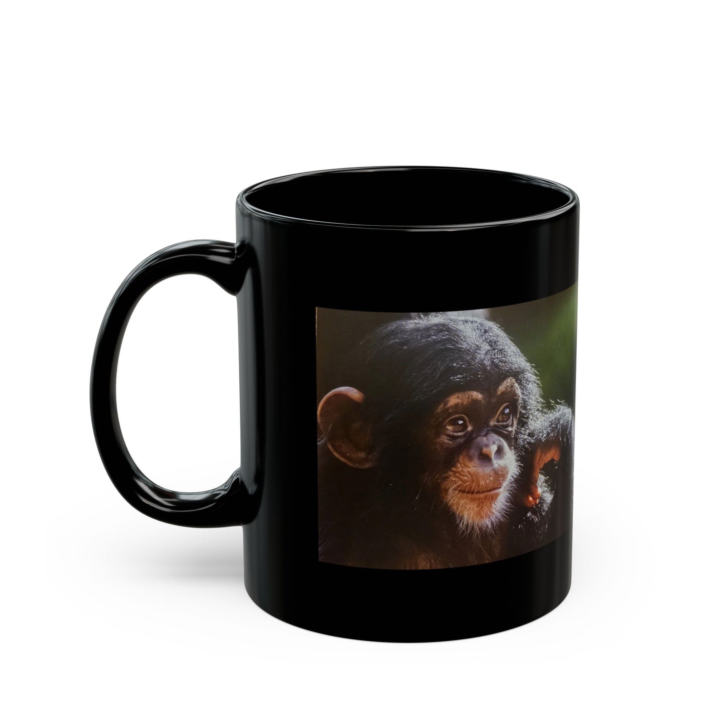 Adorable Baby Chimp