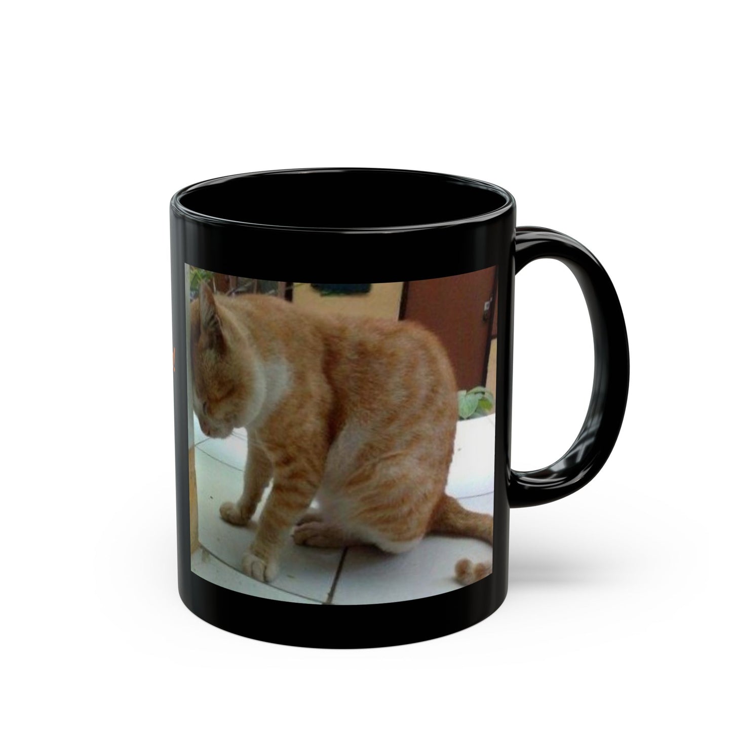 Funny Hang in there. Trump Cat Mug 11oz, 15oz