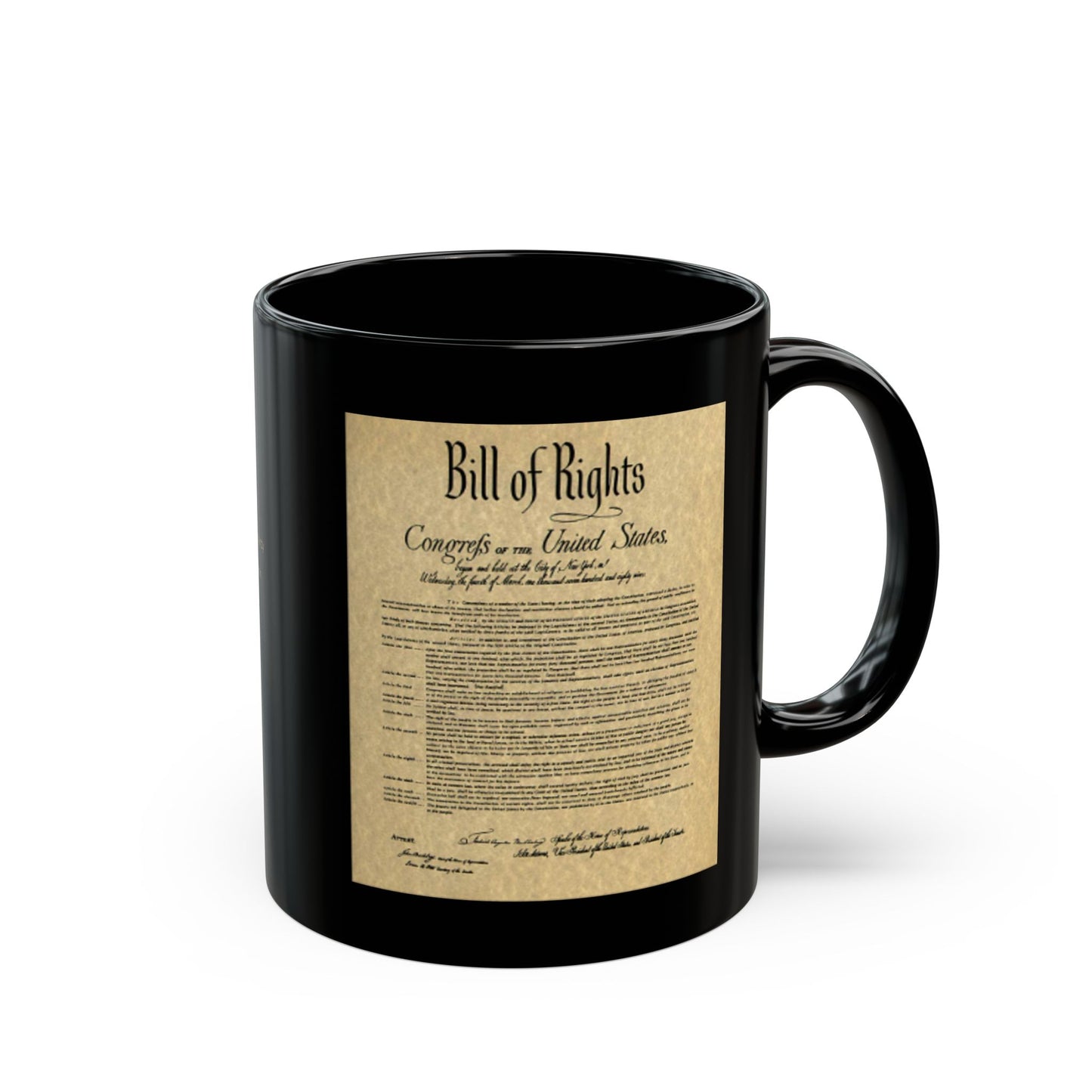 Bill of Rights with 10 Amendments, Know your government at a glance everyday